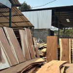 Live Edge Wood Slabs for Sale to Craft Your Dream Piece